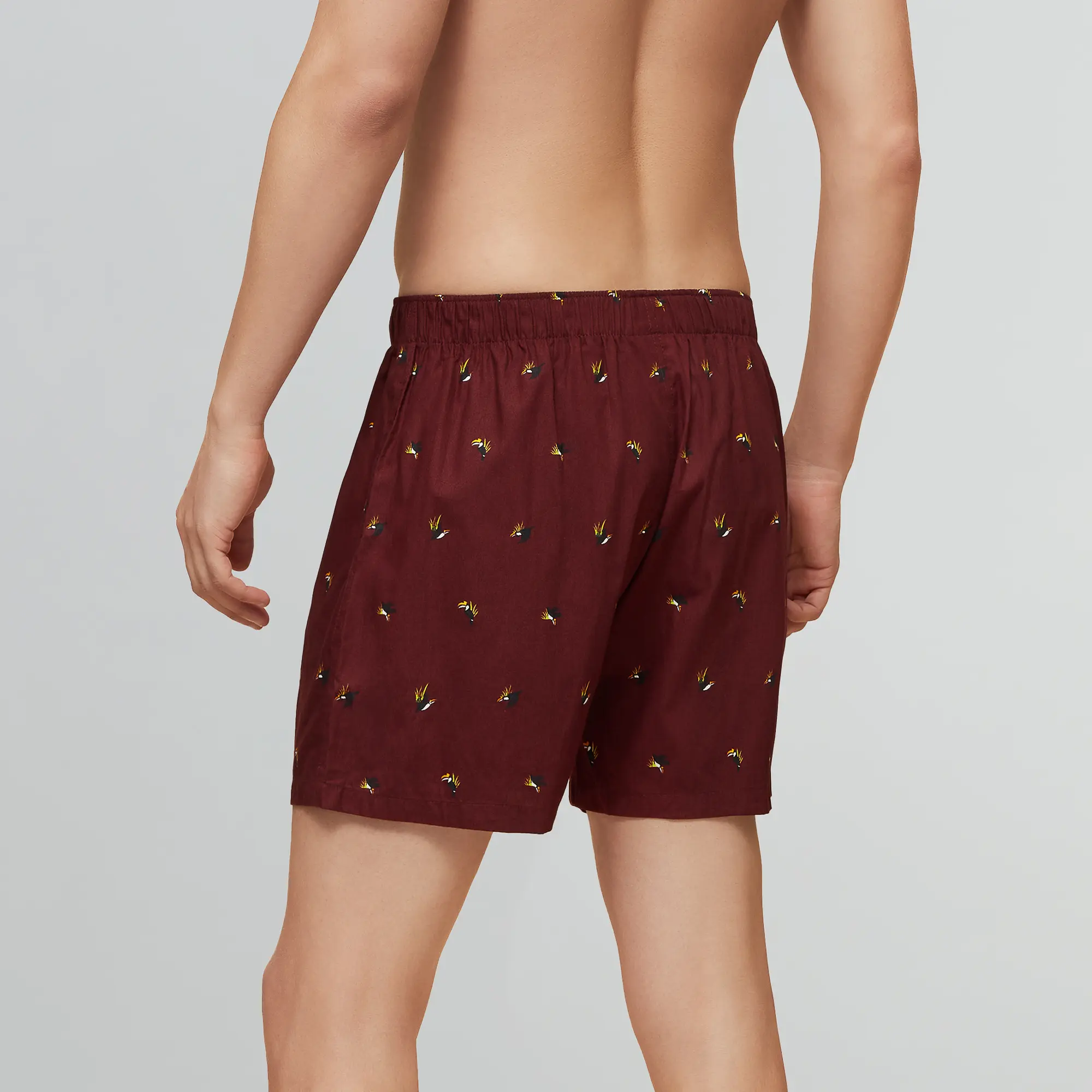 Savanna Cotton Boxers Hornbill Maroon - Image 5